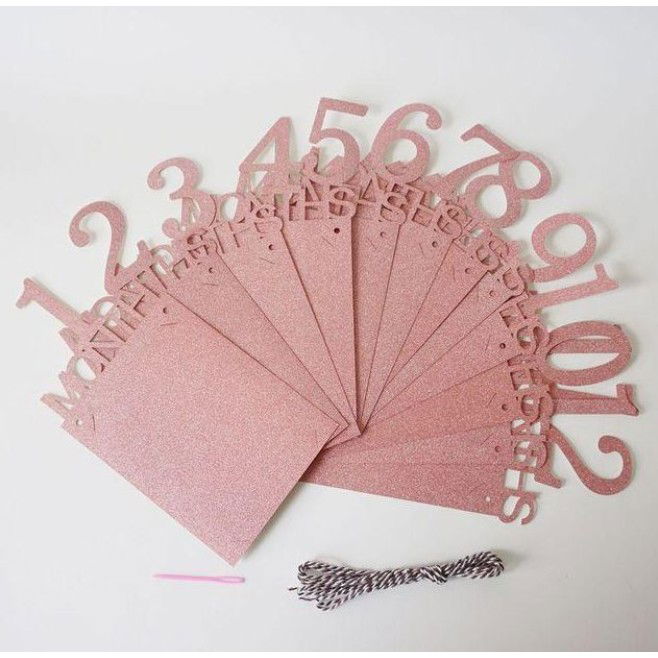 Banner pentru Poze, Flippy, 15.2x10.2 cm, Tema Prima Aniversare, Model Primele 12 Luni, Rola Ata Inclusa, Roz [7]