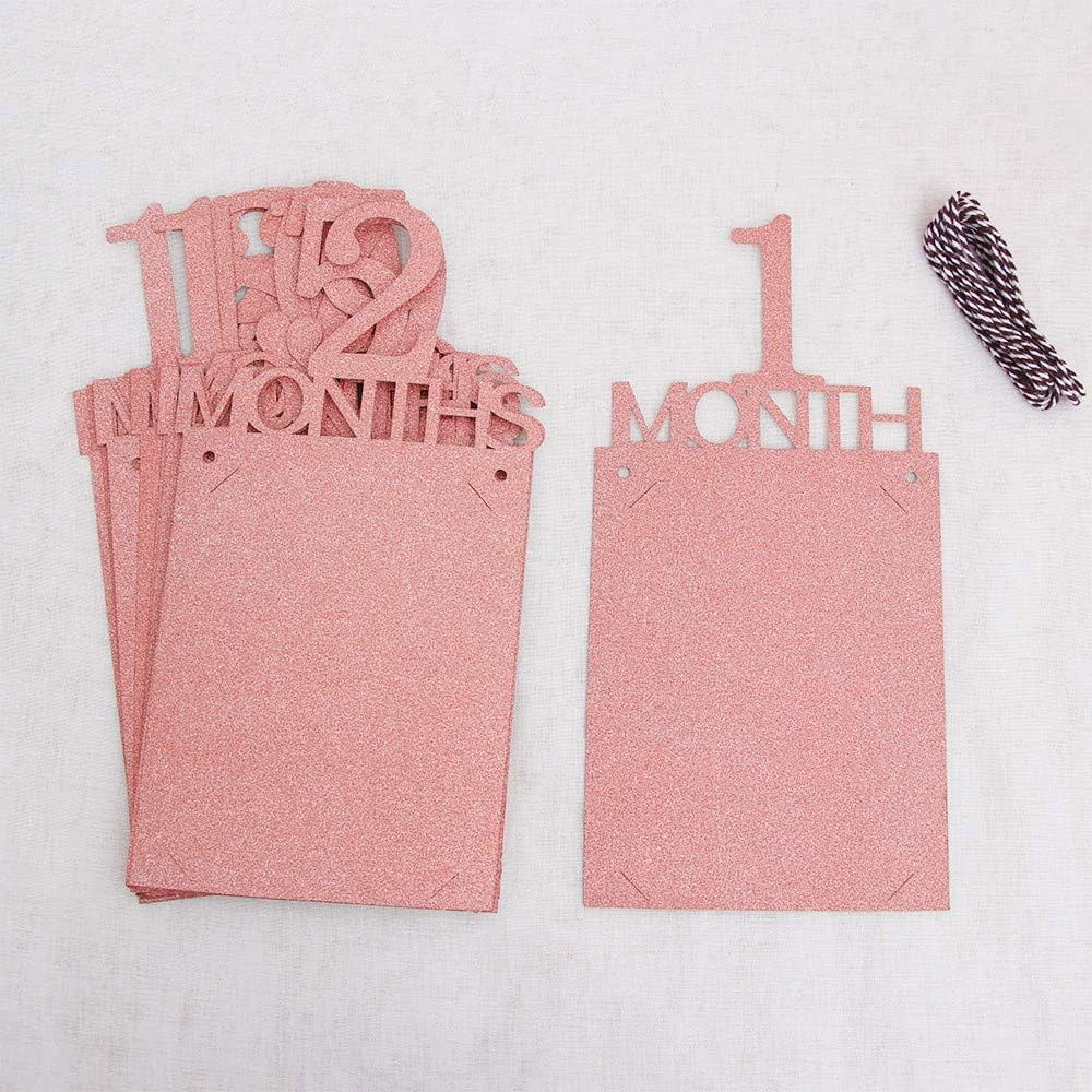 Banner pentru Poze, Flippy, 15.2x10.2 cm, Tema Prima Aniversare, Model Primele 12 Luni, Rola Ata Inclusa, Roz [3]