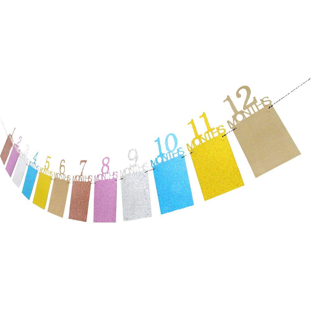 Banner pentru Poze, Flippy, 15.2x10.2 cm, Tema Prima Aniversare, Model Primele 12 Luni, Rola Ata Inclusa, Multicolor [3]