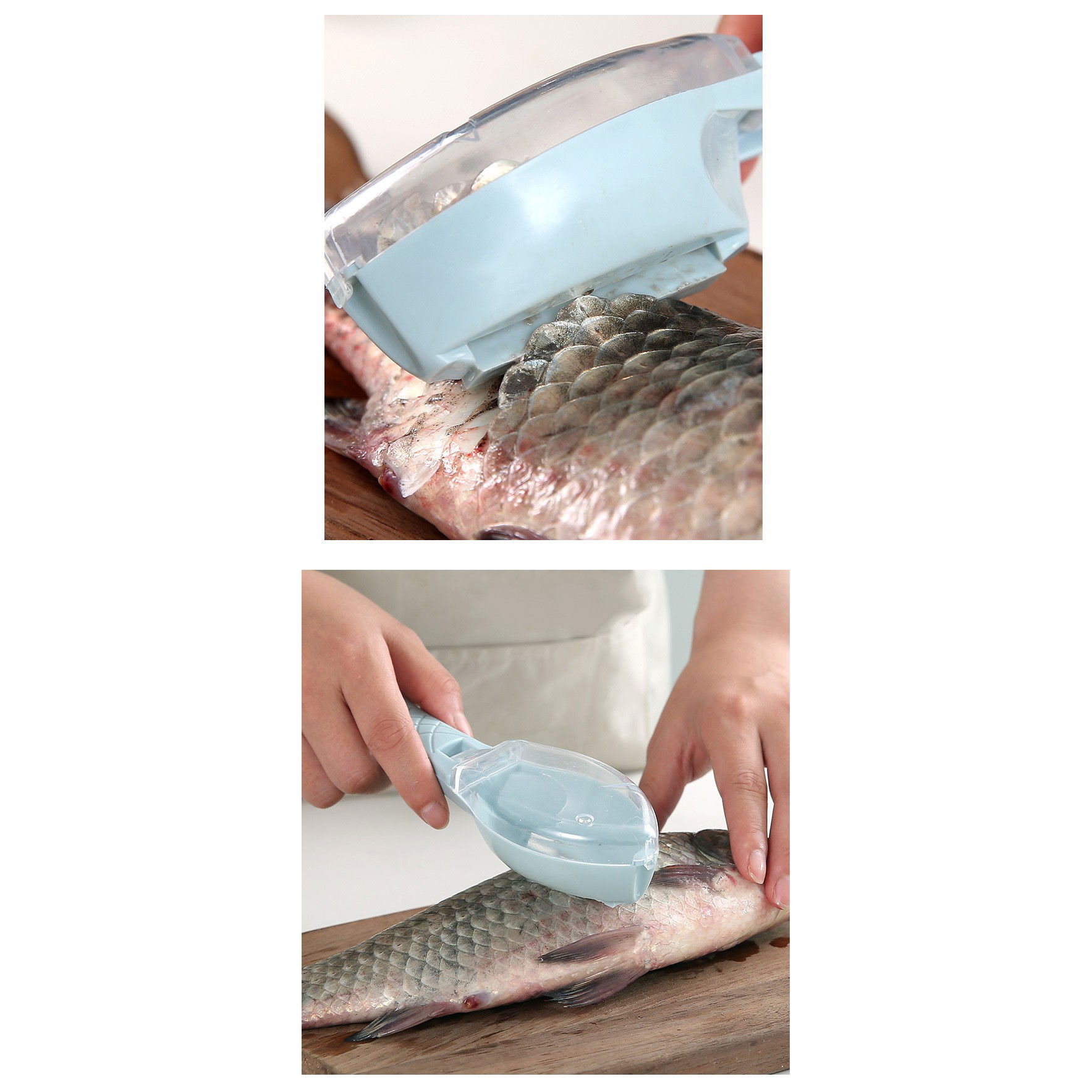 Curatator Manual Solzi de Peste, Flippy, Forma Peste , Recipient cu Capcac pentru Solzi, Plastic, Albastru deschis, 16x6 cm [4]