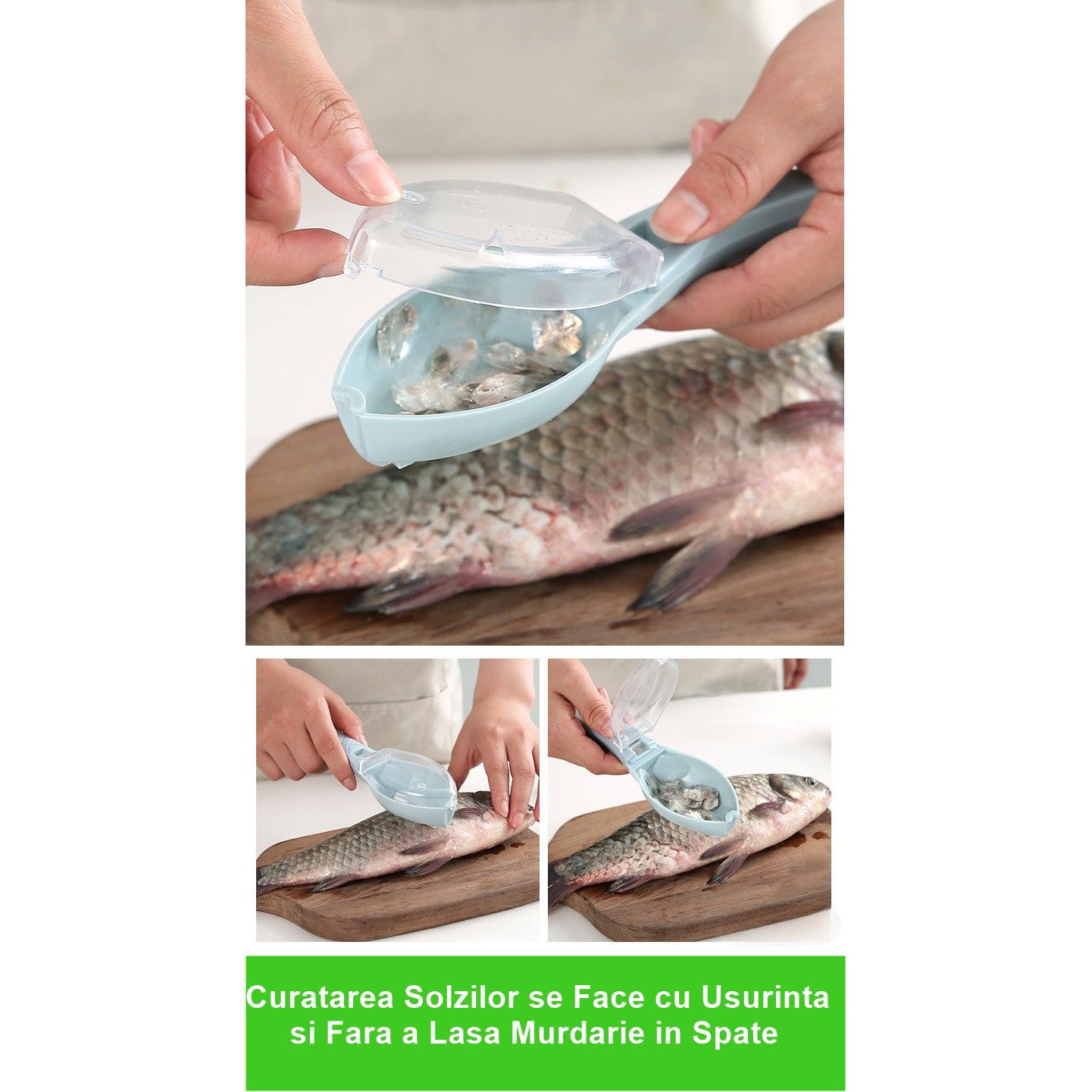 Curatator Manual Solzi de Peste, Flippy, Forma Peste , Recipient cu Capcac pentru Solzi, Plastic, Albastru deschis, 16x6 cm [2]