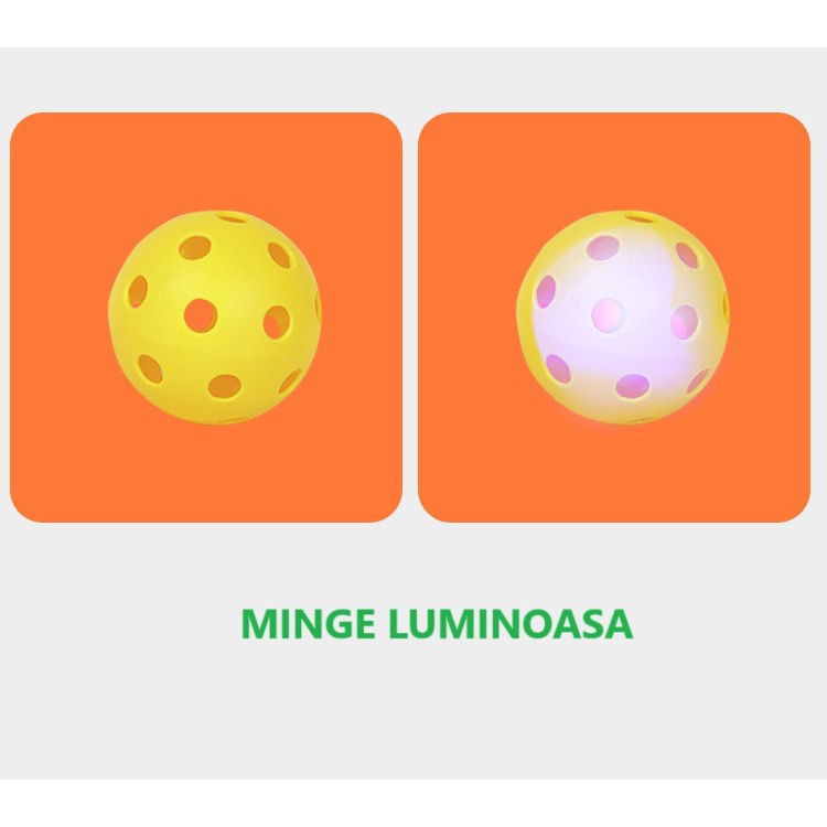 Joc Spikeball, Flippy, Joc in 2, pentru Plaja, Parcuri, Interior, 2 Plase, 2 Mingi, Multicolor [3]