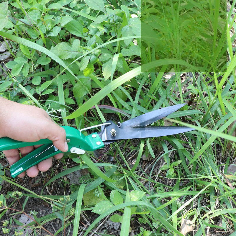 Set 10 accesorii pentru gradinarit Flippy, geanta depozitare inclusa, otel inoxidabil, 37 x 28 cm, verde [4]