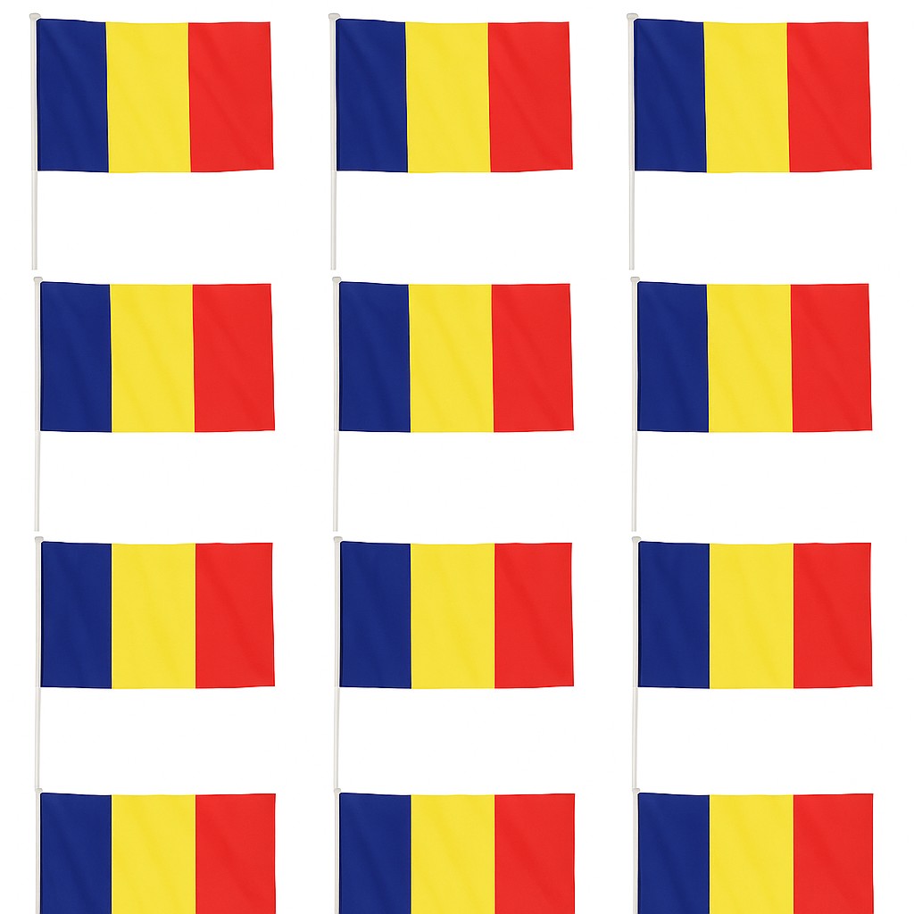 Set 12 Steaguri de Mana Tricolor, Flippy, Dimensiune 20x30 cm, Stegulet, Drapel [3]