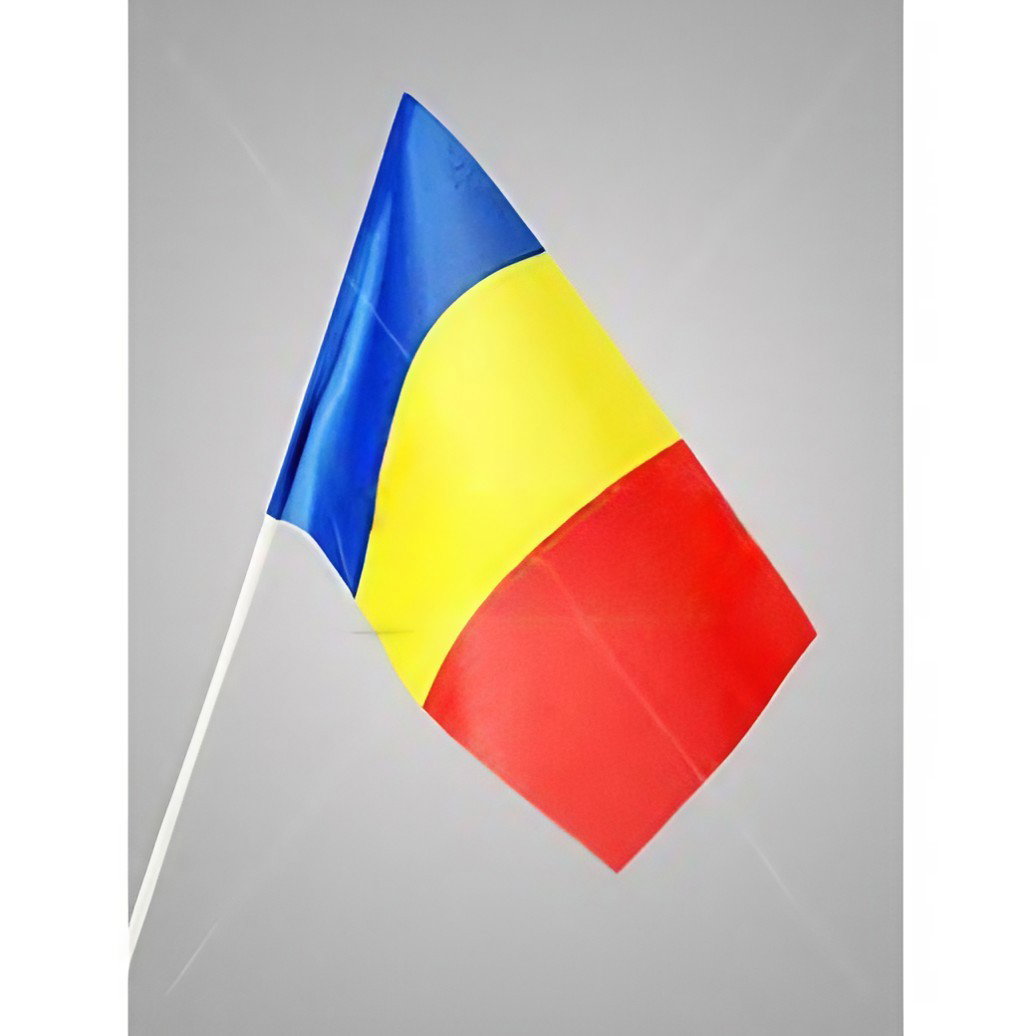 Set 12 Steaguri de Mana Tricolor, Flippy, Dimensiune 20x30 cm, Stegulet, Drapel [4]