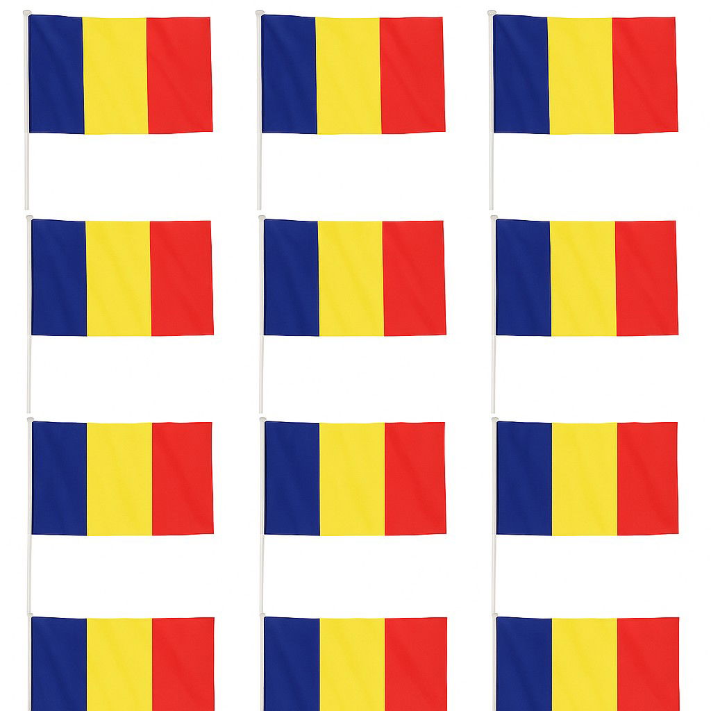 Set 12 Steaguri de Mana Tricolor, Flippy, Dimensiune 20x30 cm, Stegulet, Drapel [3]