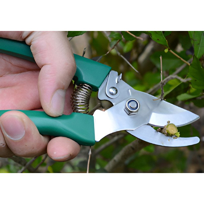 Set 12 Unelte de Gradina, Flippy, pentru Plantare Prelucrare Sol si Ingrijire Plante, Material PVC si Cardboard, Cutie Inclusa, 37x28 cm, Verde [12]