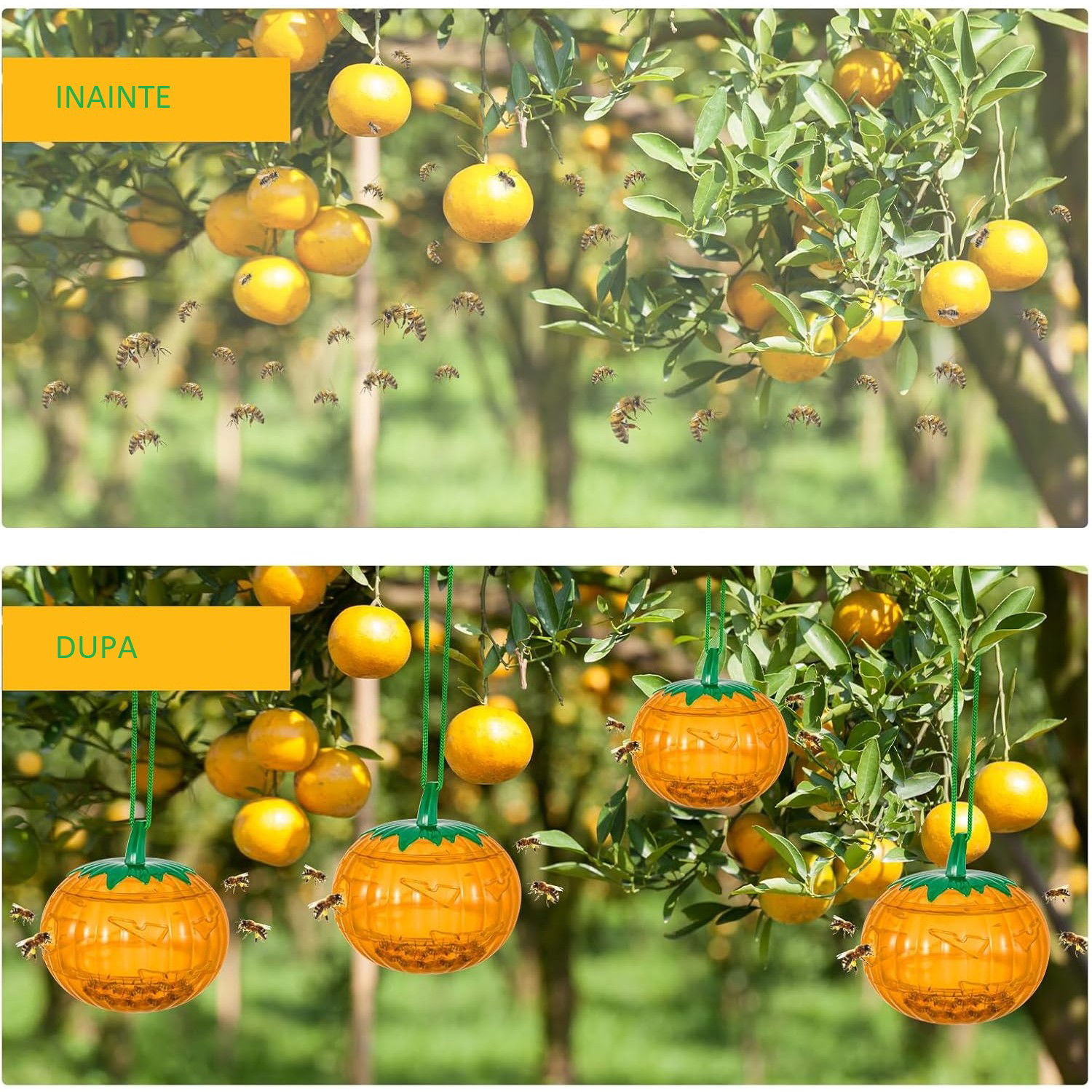 Set 2 Capcane pentru Insecte, Flippy, Forma de Dovleac, 12x9.2x12.2 cm, din ABS, Portocaliu [4]