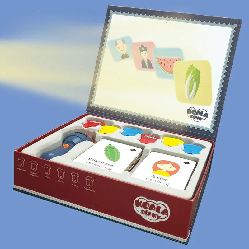 Set Jucarie Educativa, Flippy, Proiector Tip Lanterna Pentru Copii, 6 Teme, 48 de Imagini, Cutie Depozitare, +3 ani, Albastru [10]