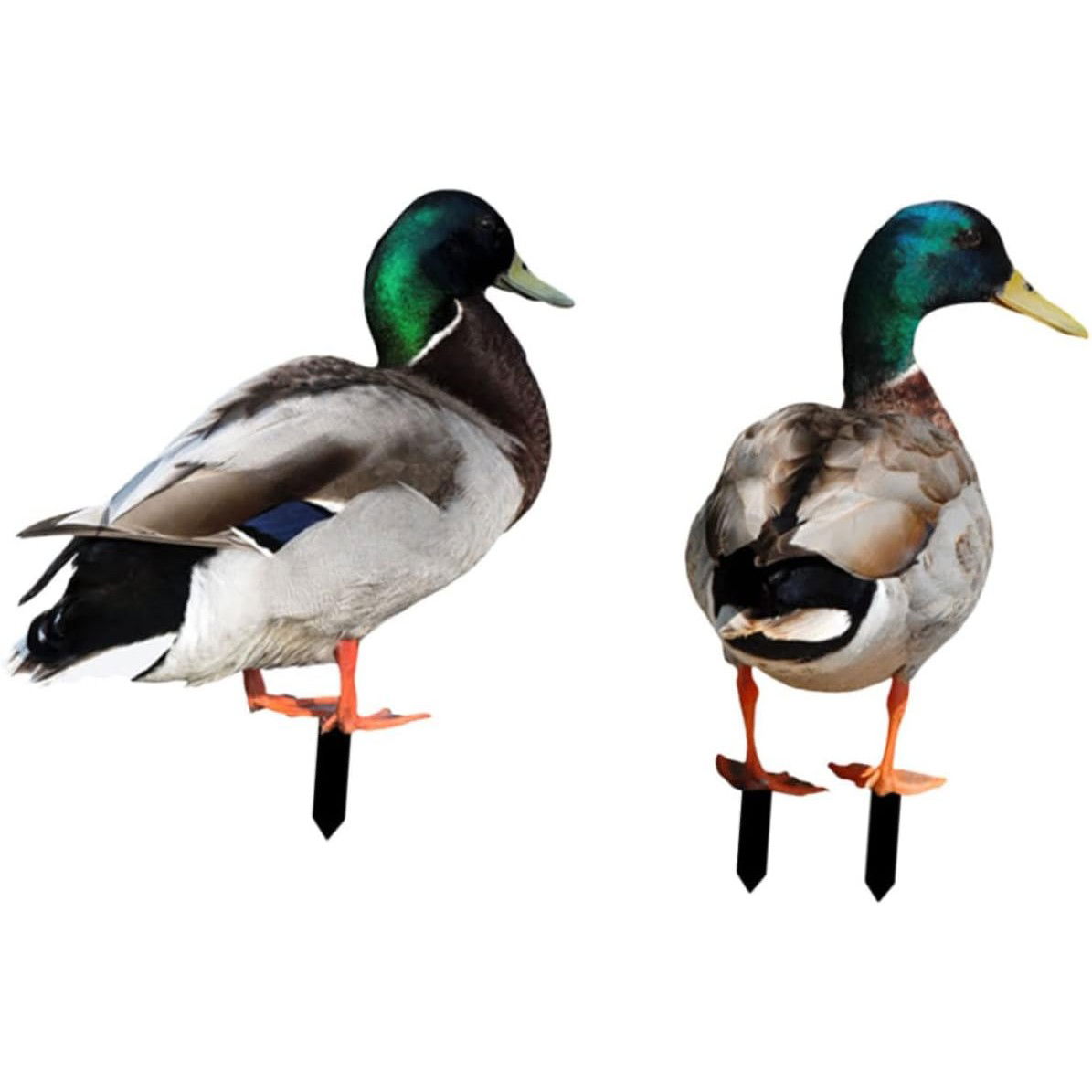 Set 2 Decoratiuni de Gradina, Flippy, Model Rata, Tip Placa, Grosime 3 mm, Fata-Verso, Multicolor [5]