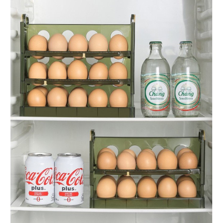 Suport Organizator pentru Oua, Flippy, pentru Frigider, Verde transparent, Capacitate 20 oua, Doua straturi, cu Data de Expirare, 25.5x10x17 cm [3]