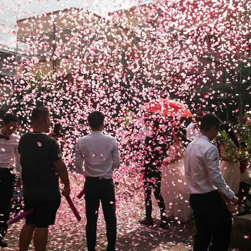 Tun Confetti, Flippy, Best Wishes, Confetti Inimioare si Paiete, 60 x 5 cm, Roz Auriu [4]