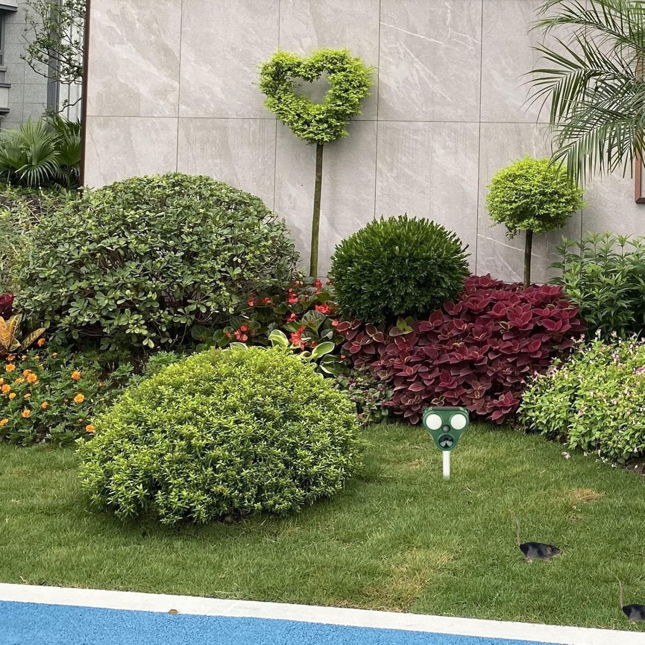 Aparat Solar LED cu Ultrasunete, Flippy, Repelent pentru Animale Mari si Mici, Lumina Rosie si Alba, Anti Rozatoare, Anti Insecte, Frecventa 13.5KHZ-65 KHZ, Senzor PIR, 13 x 14.7 x 24.5 cm, Verde [3]