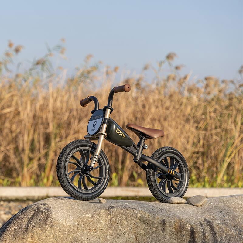 Balance bike QPlay Feduro Negru-Auriu [5]