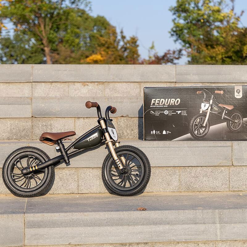 Balance bike QPlay Feduro Negru-Auriu [8]