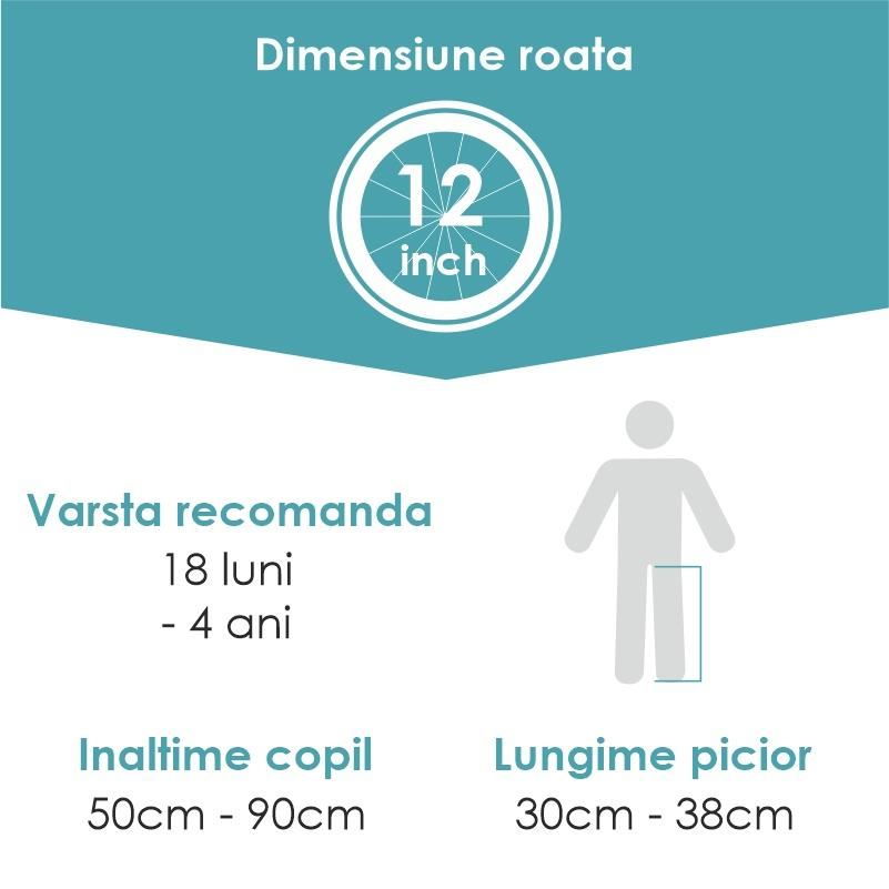 Balance Bike QPlay Racer Gri [7]