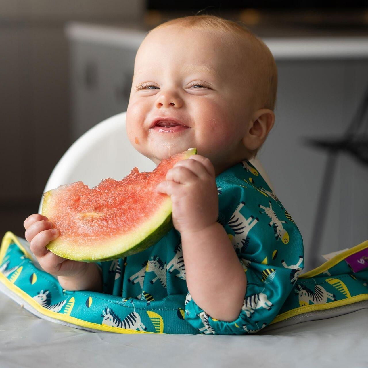 Baveta cu maneci scurte - Zebre vesele [4]