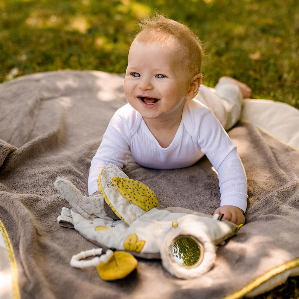 Carticica pentru bebelusi - Koala [3]