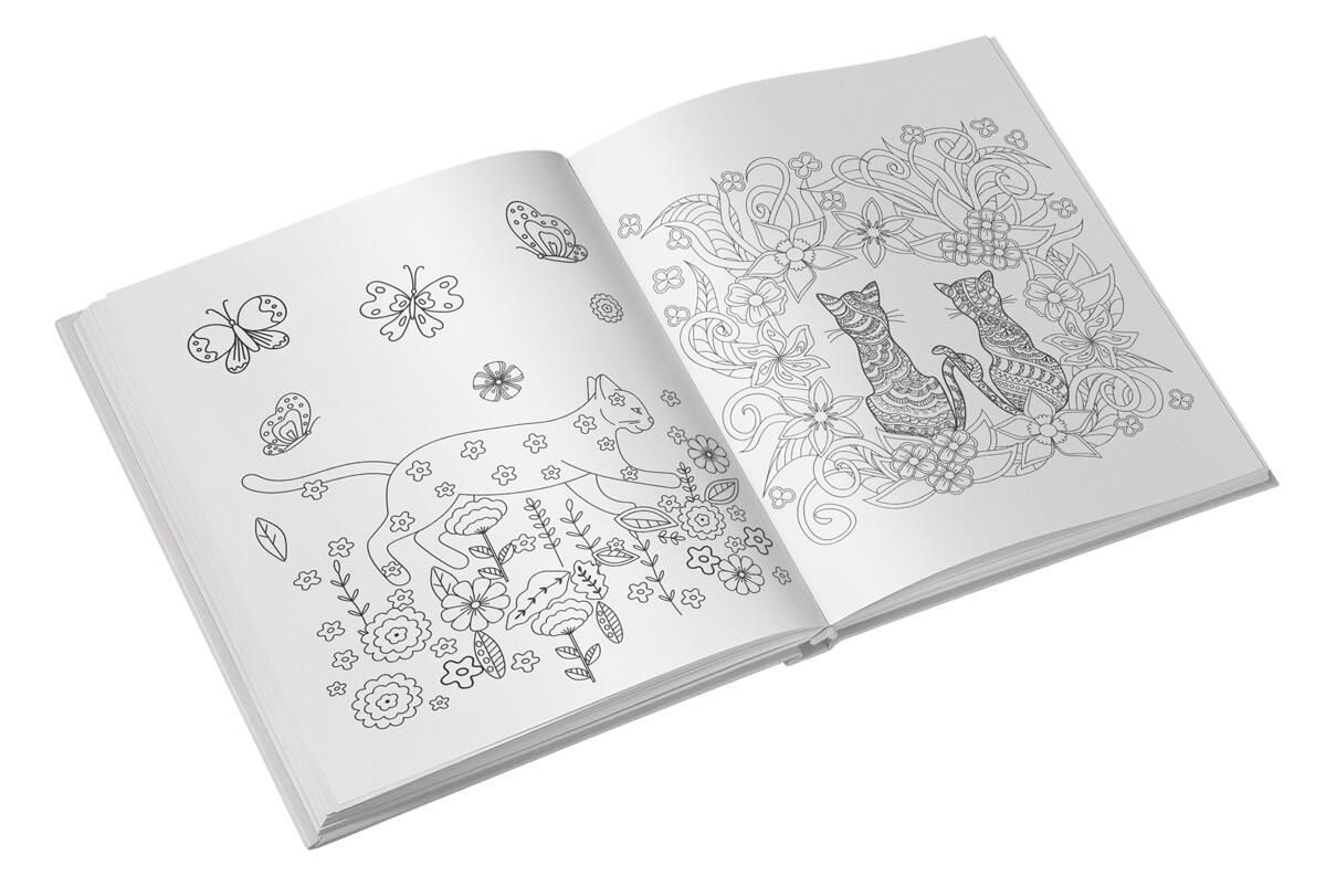 Colorez pisici - carte de colorat [4]