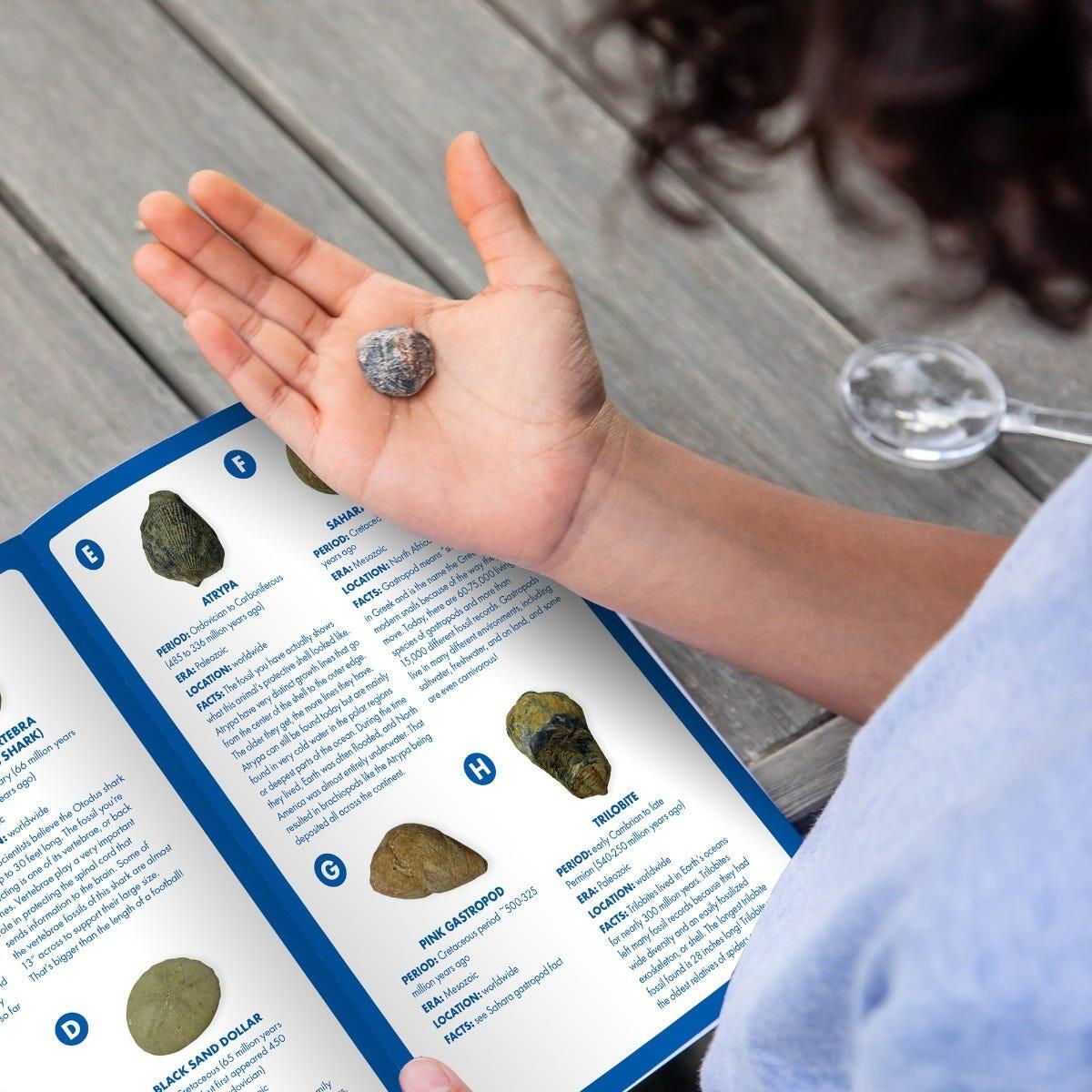 GeoSafari - Kit excavare fosile [11]