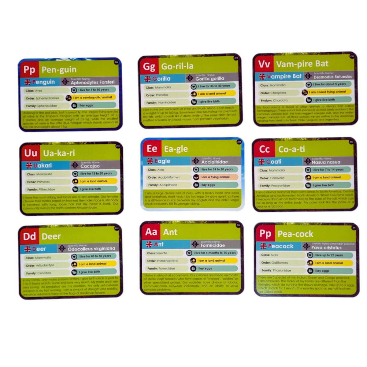 Joc lingvistic Learning Cube® - Arca lui Noe [4]