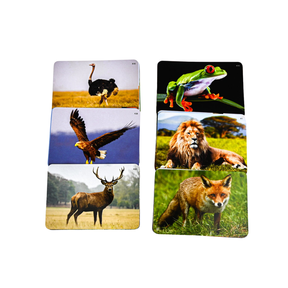 Joc lingvistic Learning Cube® - Arca lui Noe [3]