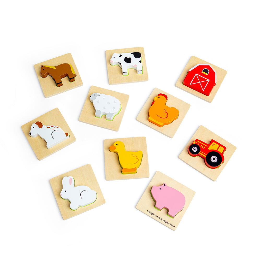 Joc Simte si gaseste - Ferma [5]