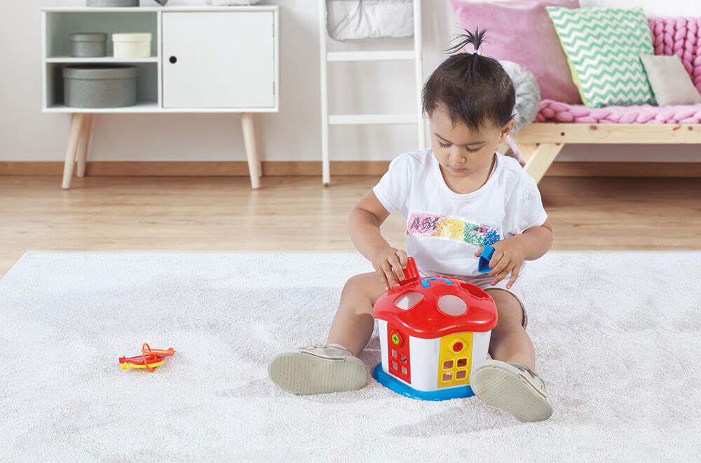 Joc sortare - Casuta vesela cu chei [4]