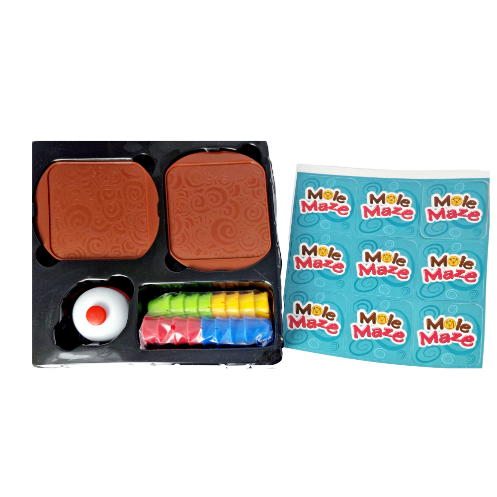 Joc STEAM 2 in 1 - Labirintul cartitei [3]