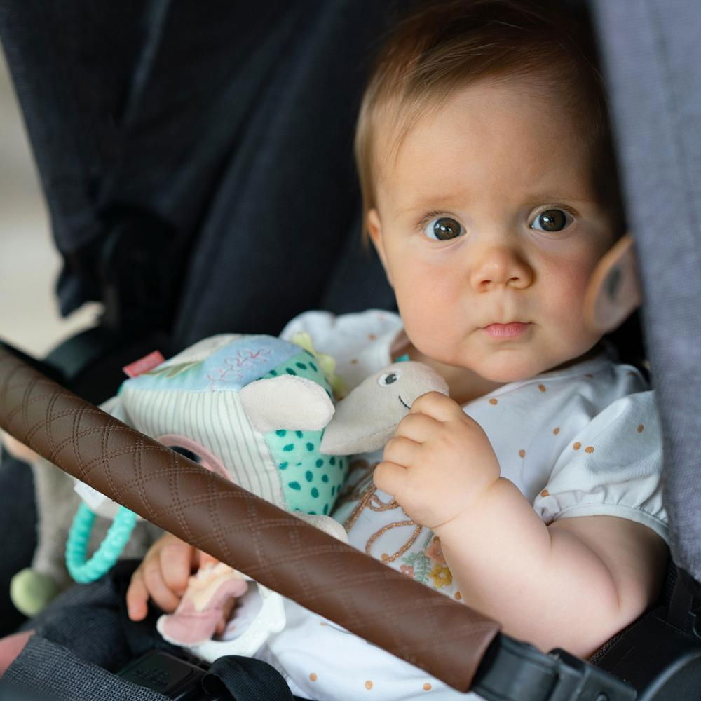 Jucarie dexteritate - Testoasa [5]