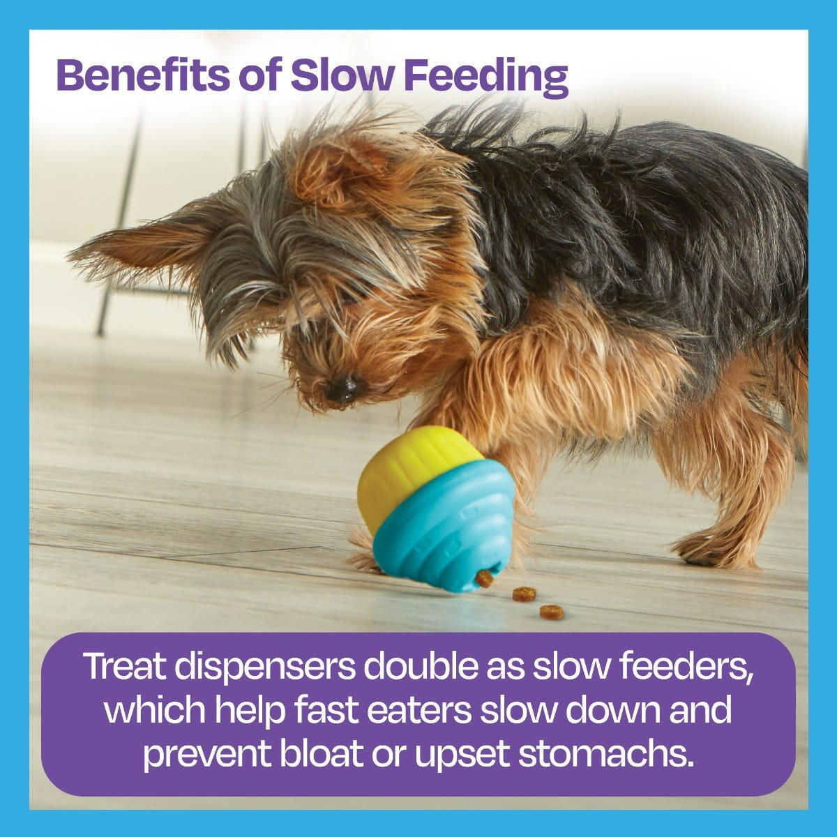 Jucarie dresaj caini - Jucarie eliberare recompense Briosa [5]