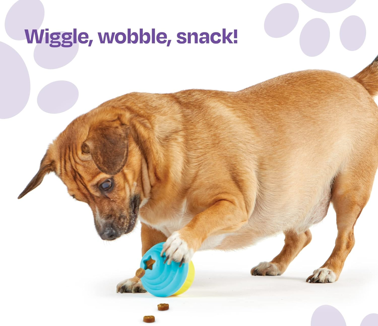 Jucarie dresaj caini - Jucarie eliberare recompense Briosa [3]