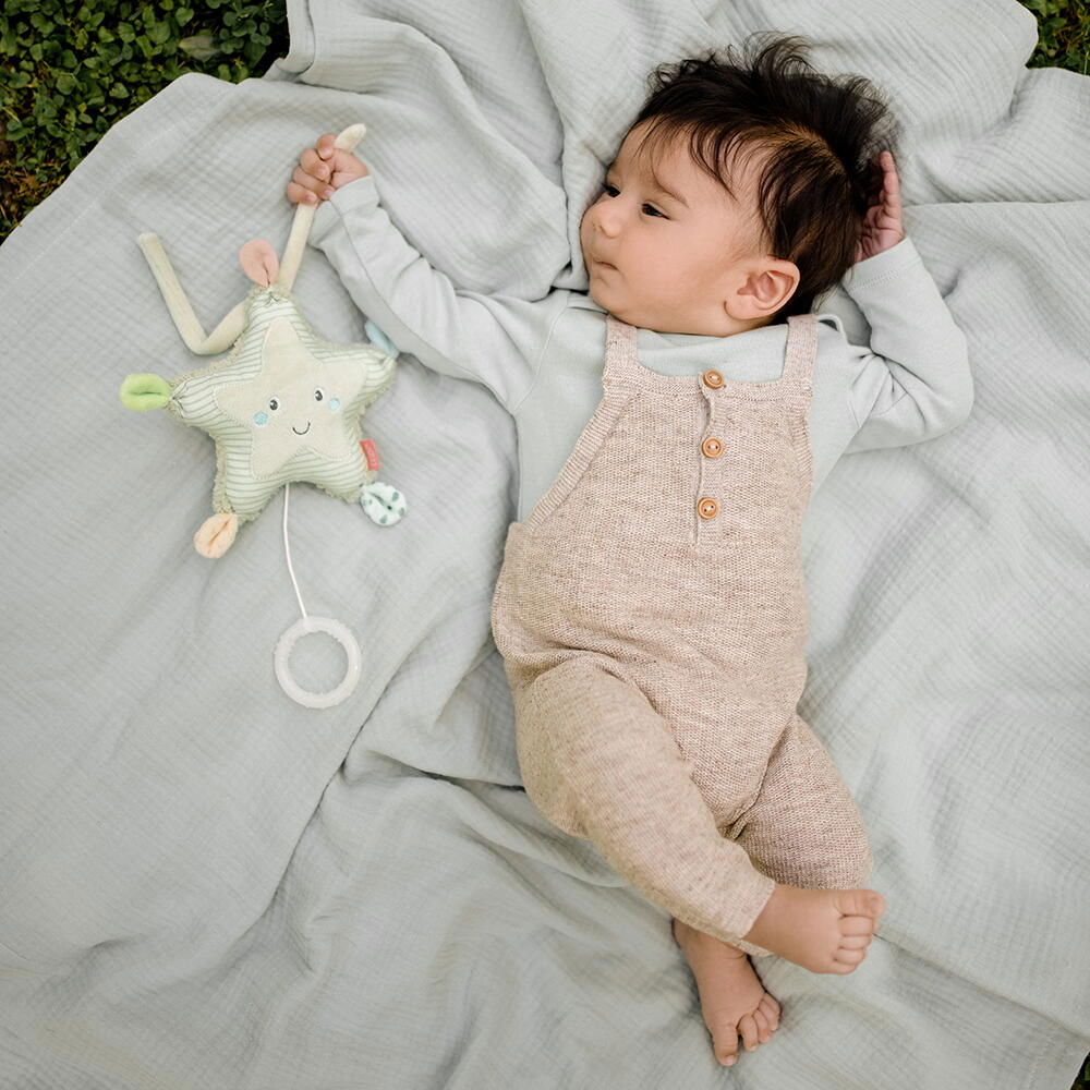 Jucarie muzicala - Steluta de mare [3]