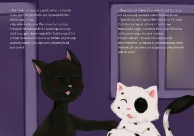 Jup, un pisoi de soi - volumul VIII - Jup si secretele noptii [3]