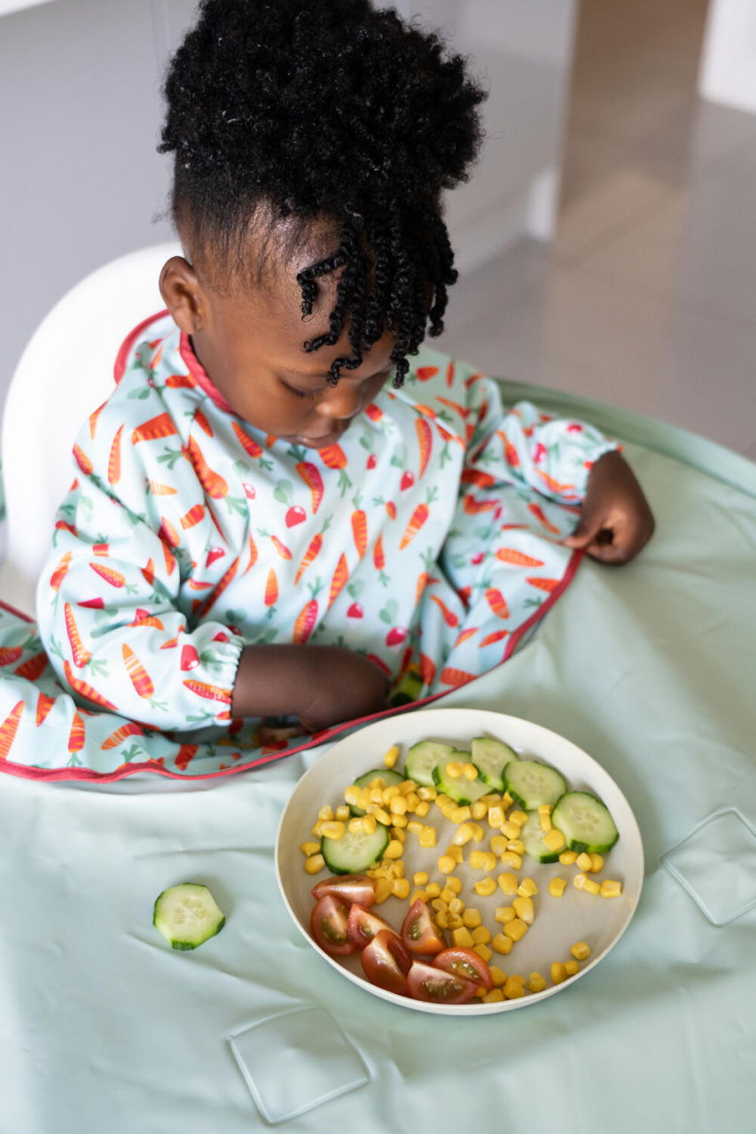 Kit hranire - Baveta si tava (Morcovei jucausi) [4]