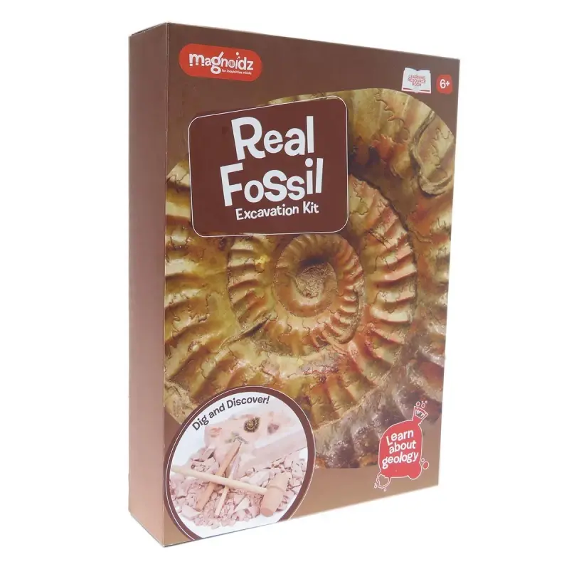 Kit paleontologie - Descopera fosile [3]