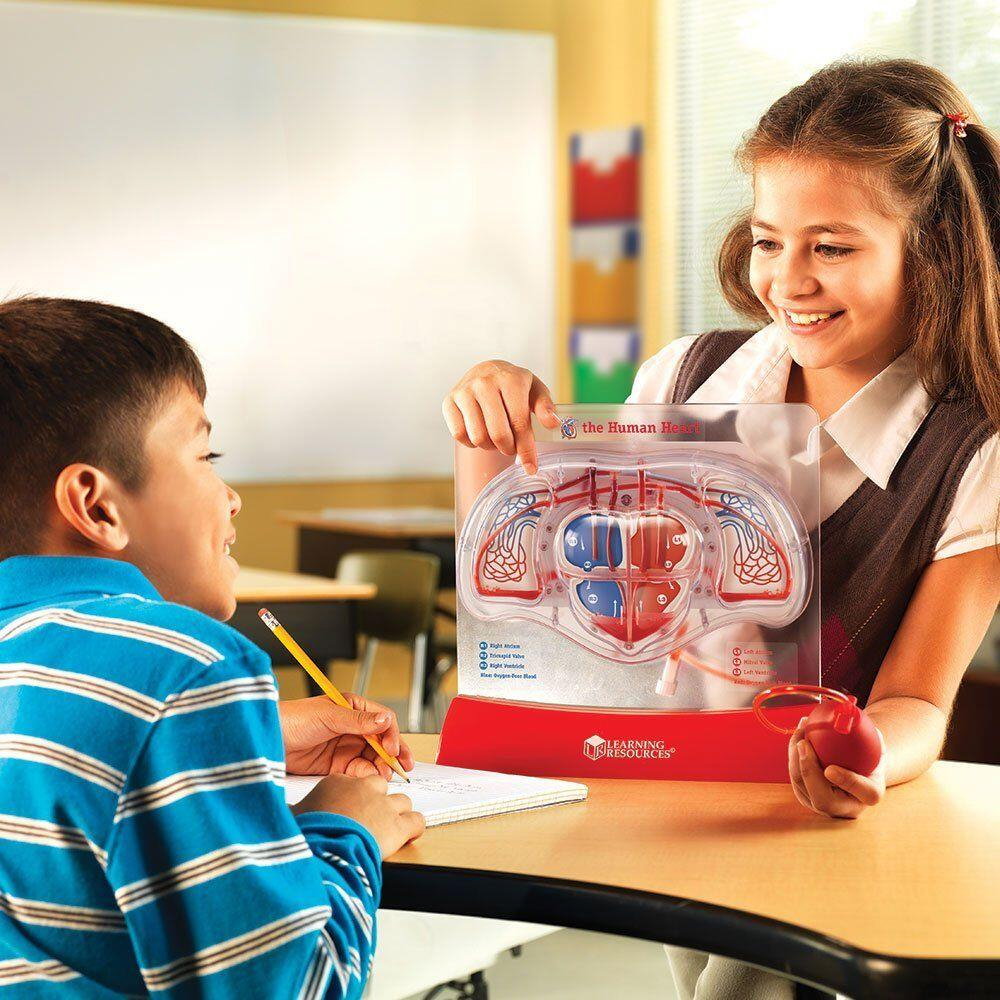 Macheta inima - Pomparea sangelui [4]