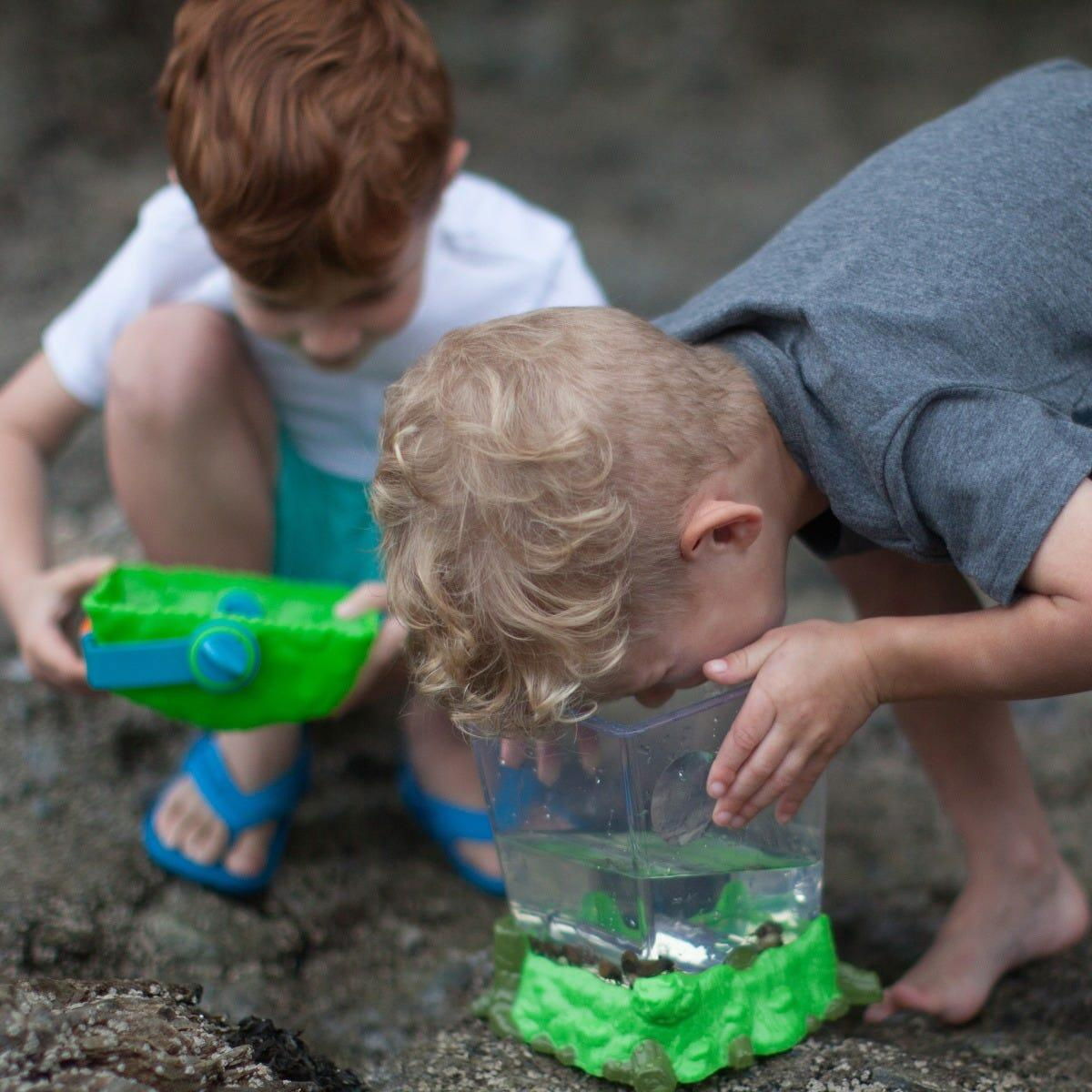 Observator insecte tip habitat - Geosafari [7]