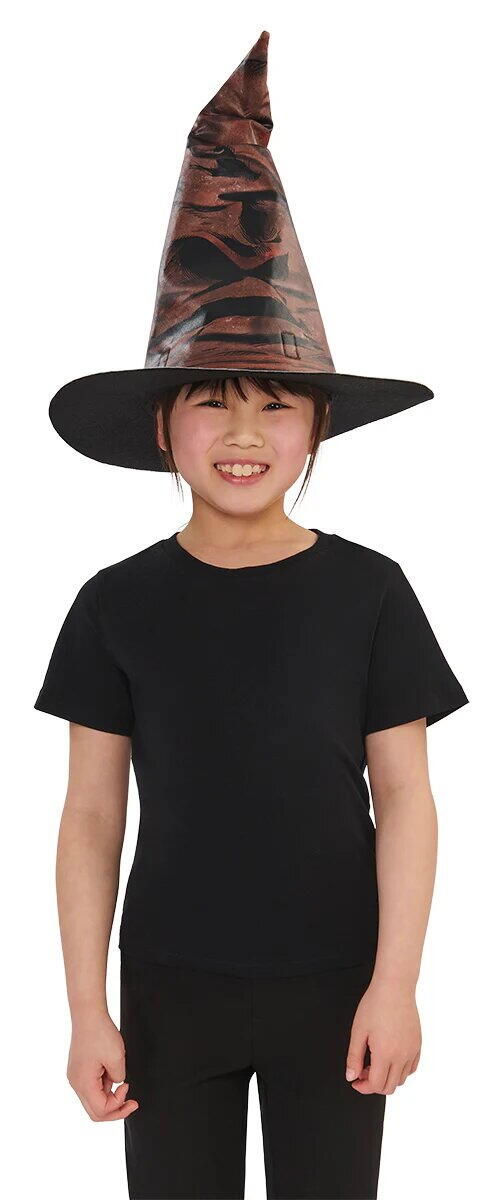 Palarie magica & insigne Harry Potter [3]