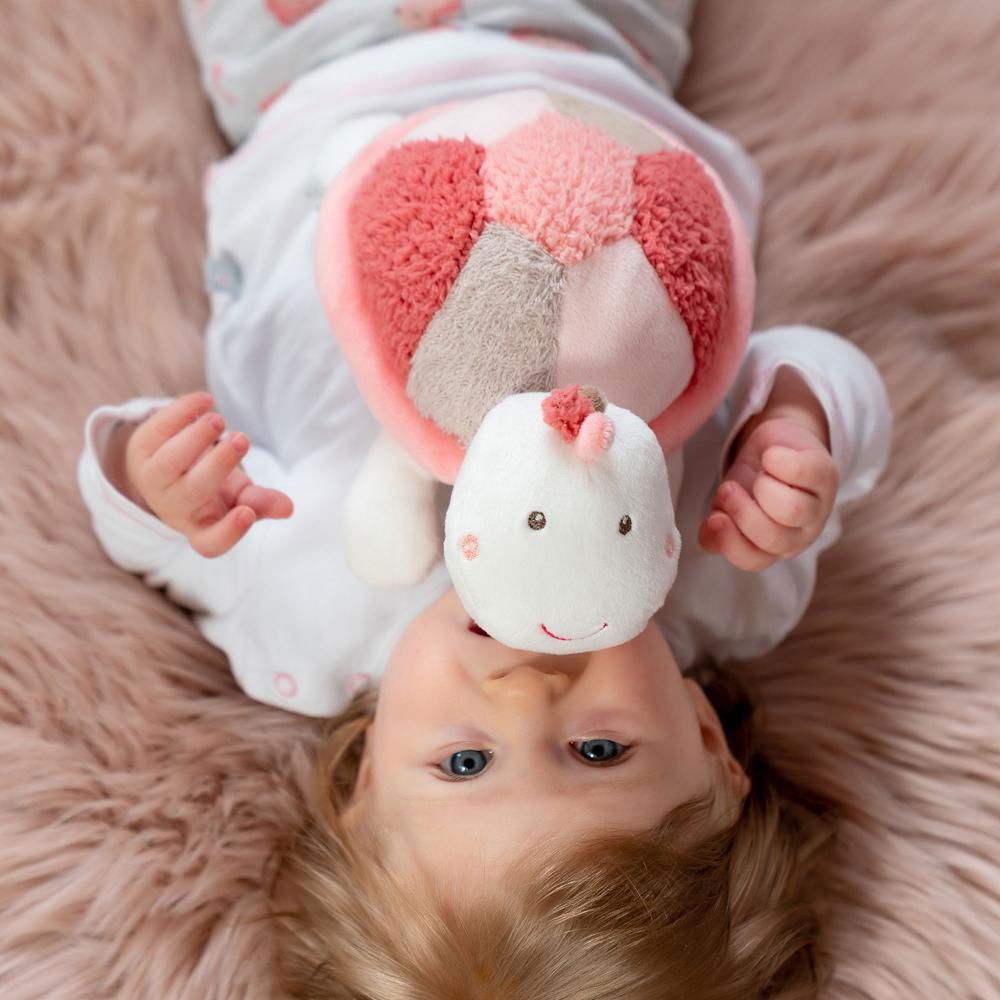 Pernuta anticolici - Broscuta testoasa [4]