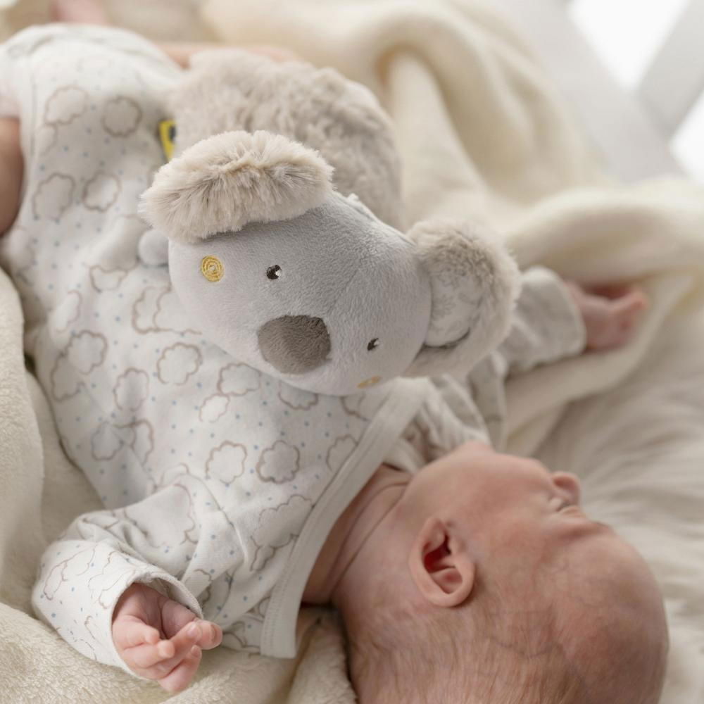 Pernuta anticolici - Ursuletul meu Koala [3]