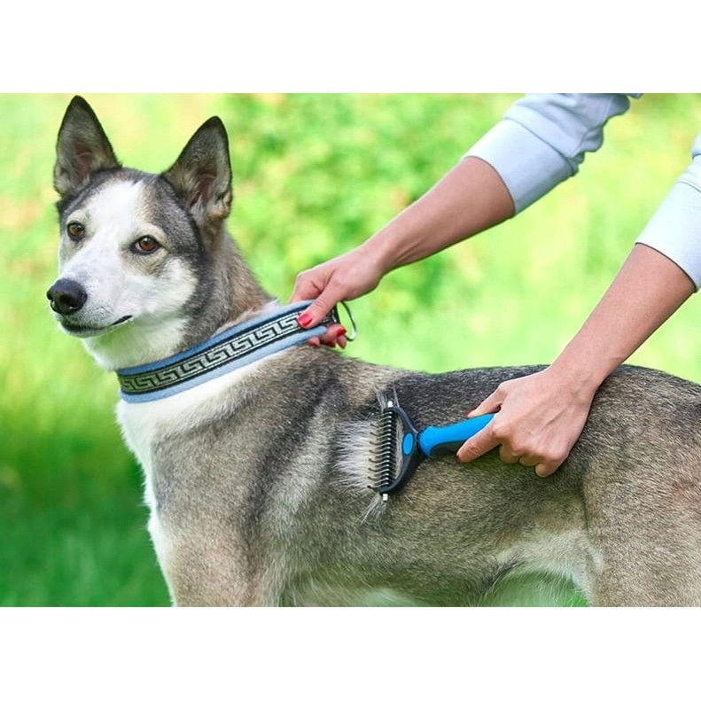 Pieptene pentru Părul de Animale, Flippy, Dispozitiv de Îngrijire cu Două Fețe, Îndepărtarea părului, Albastru [2]