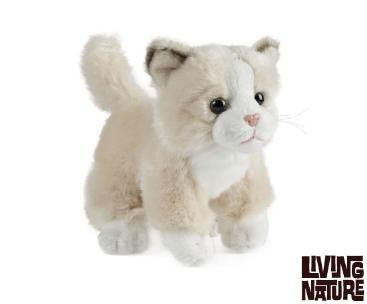 Pisicuta de plus [1]