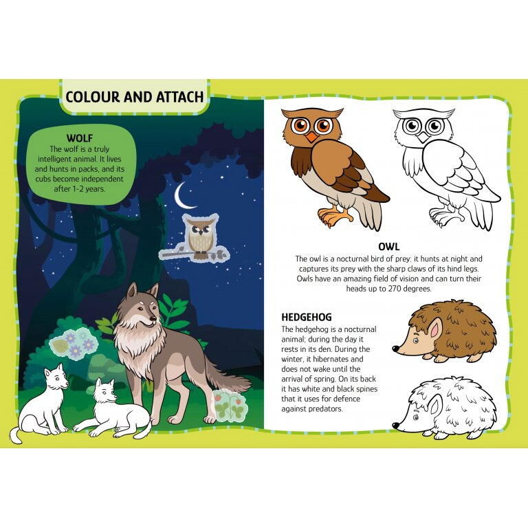 Primul set de arta & lucru manual - Animalute [4]