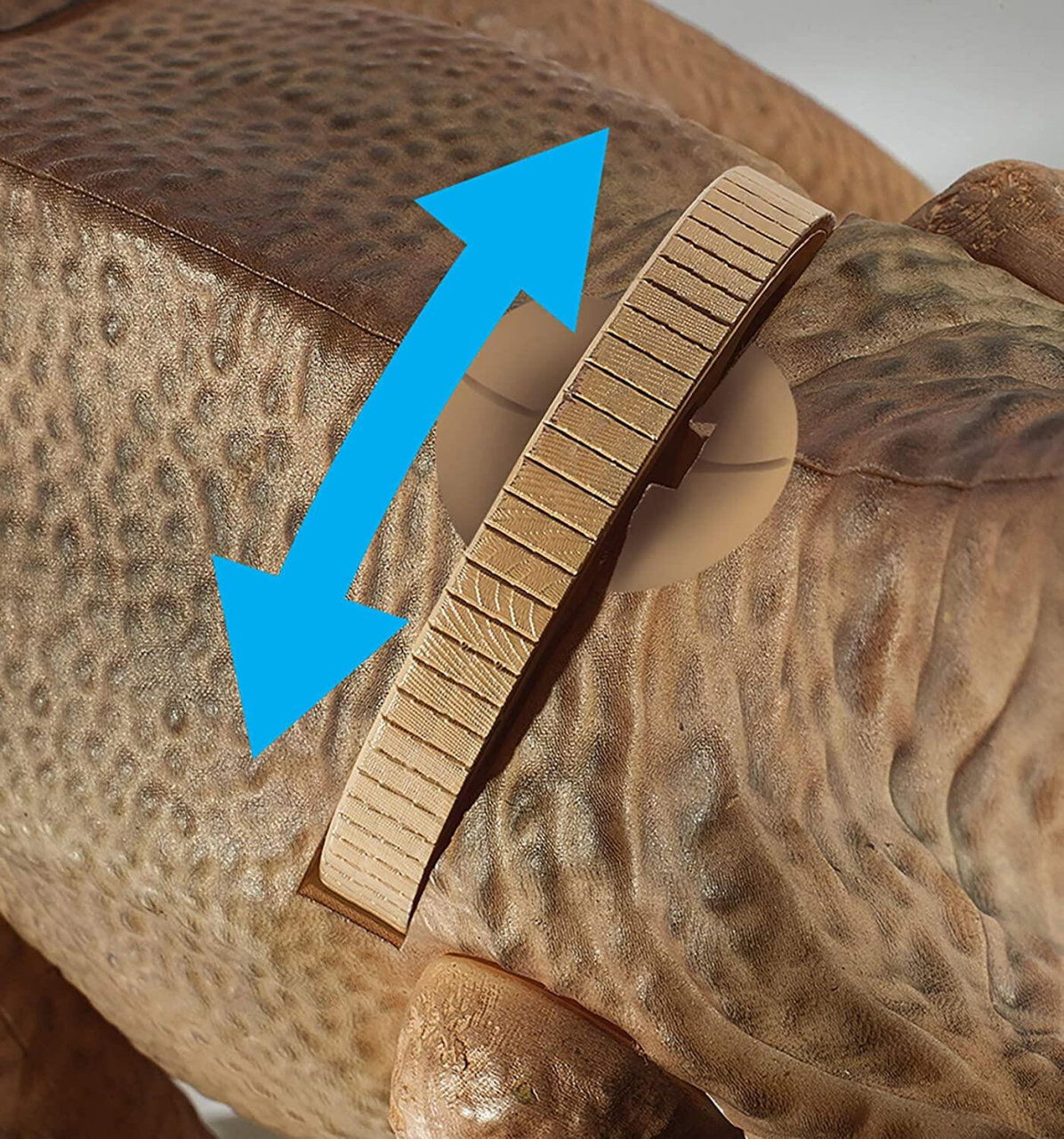 Proiector 2 in 1 - T Rex [7]