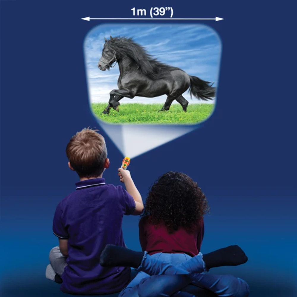 Proiector tip lanterna - Caluti [4]