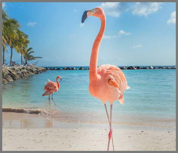 Proiector tip lanterna - Distractie cu animalute [8]