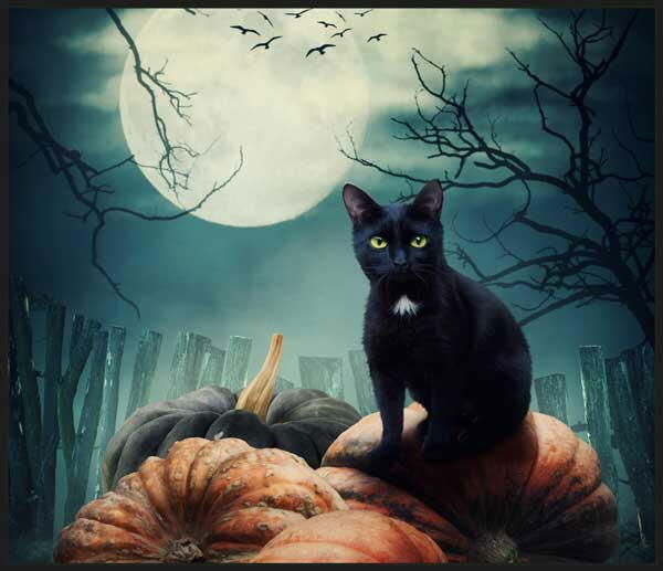 Proiector tip lanterna - Dragon si vrajitor [3]