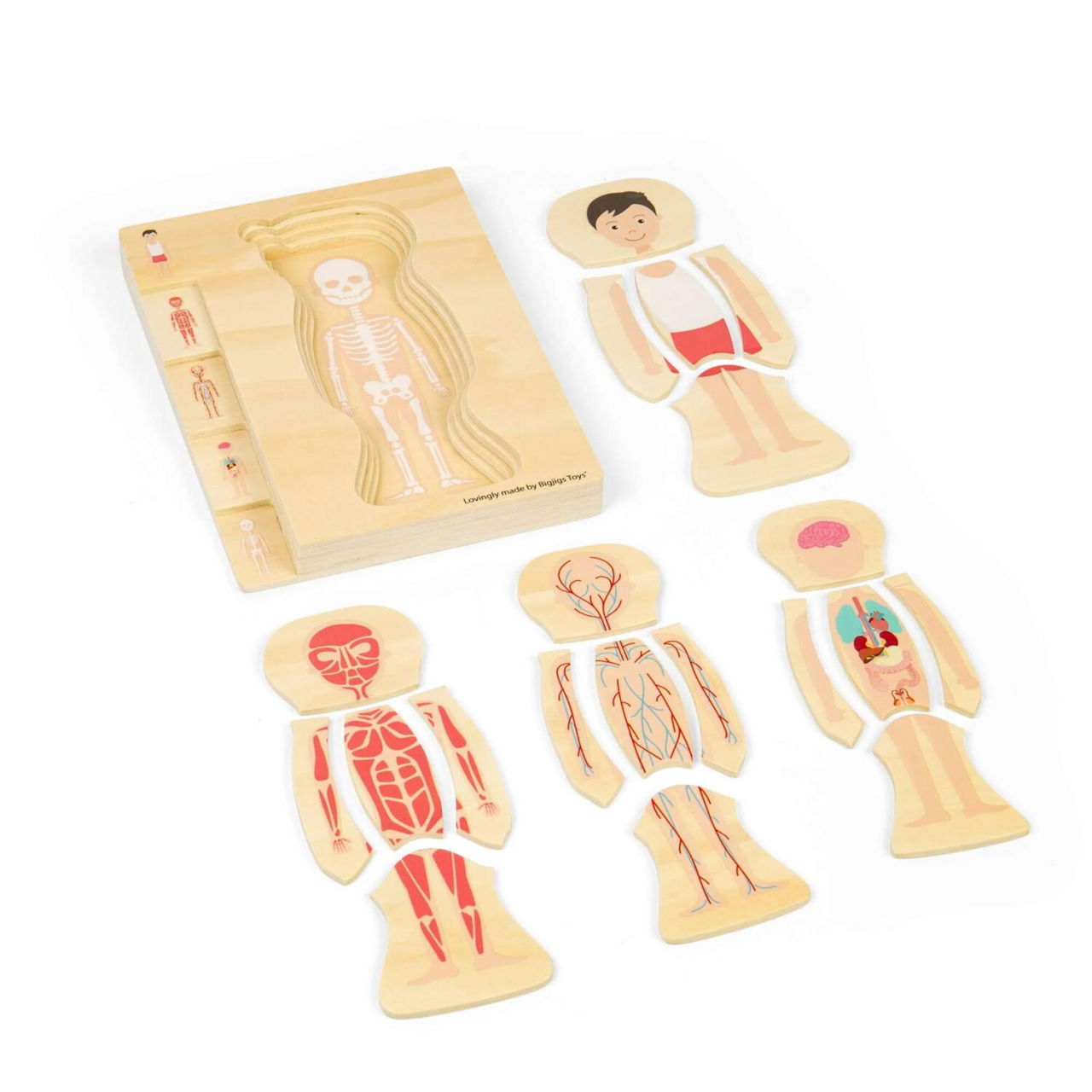 Puzzle anatomic din lemn - Baiat [5]