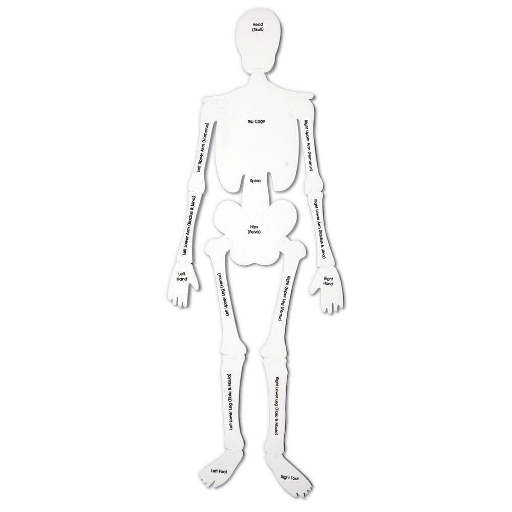 Puzzle de podea - Schelet [4]